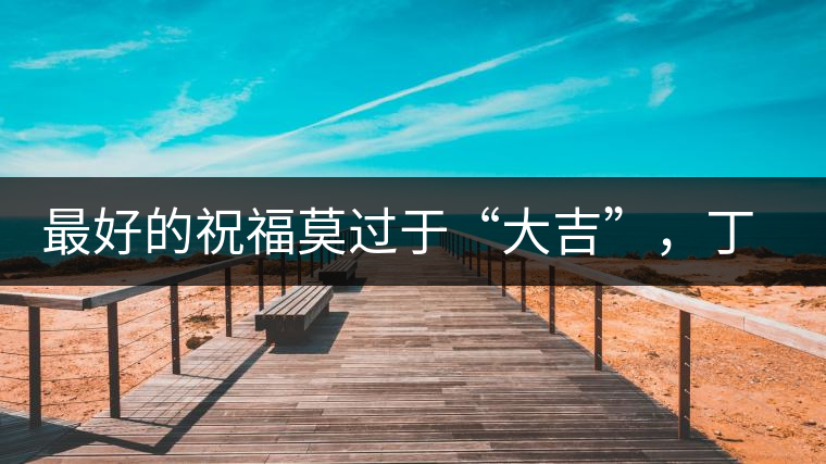 最好的祝福莫過于“大吉”，丁酉年生肖餅震撼來襲！