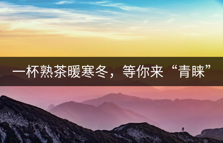 一杯熟茶暖寒冬，等你來“青睞”