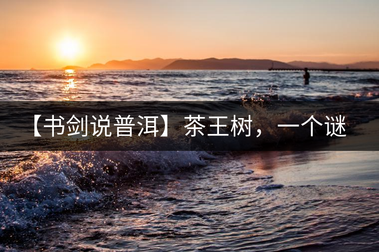 【書劍說普洱】茶王樹，一個(gè)謎一樣的地方