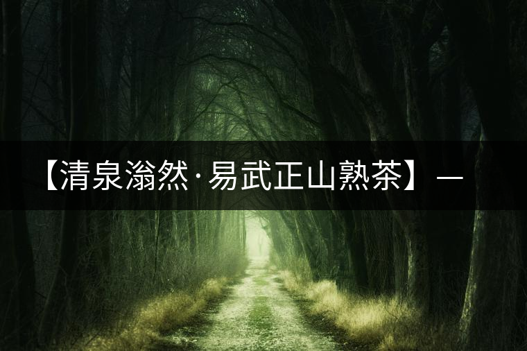 【清泉滃然·易武正山熟茶】——熨帖冬季的寒冷，來的正是時候！