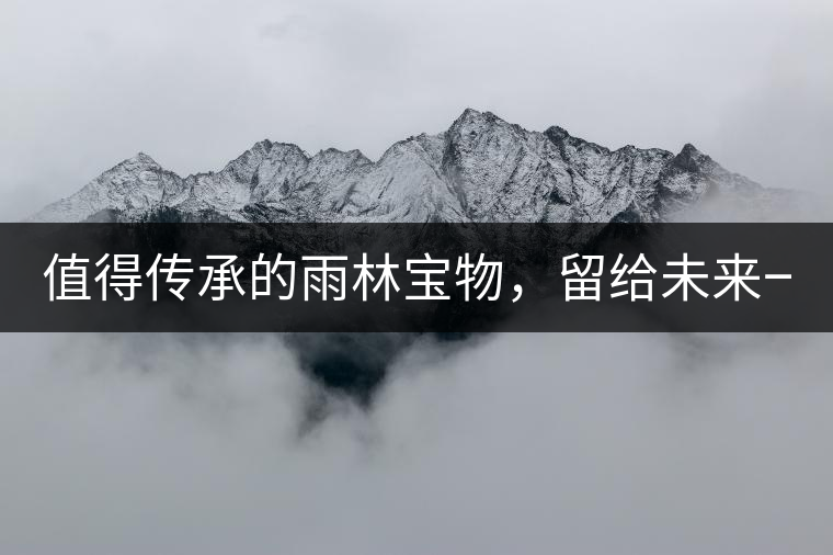 值得傳承的雨林寶物，留給未來(lái)一點(diǎn)“回甘”！