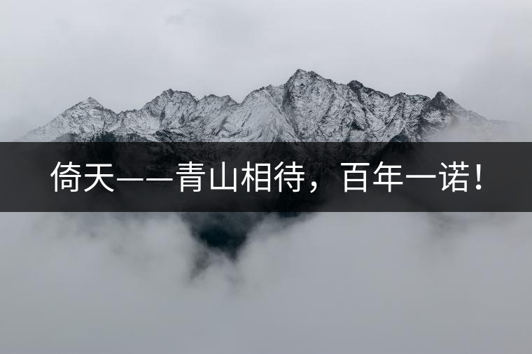 倚天——青山相待，百年一諾！