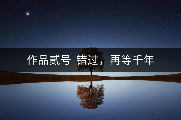 作品貳號  錯過，再等千年