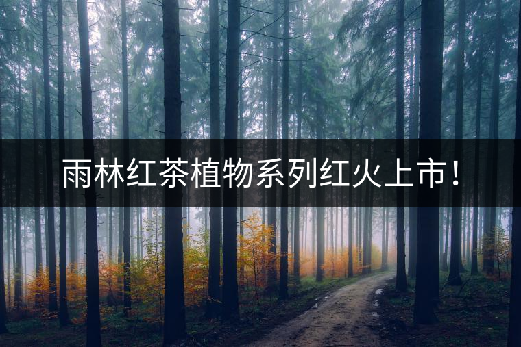 雨林紅茶植物系列紅火上市！