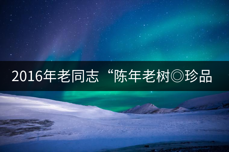 2016年老同志“陳年老樹◎珍品普洱”隆重上市！