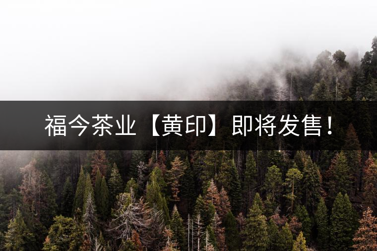 福今茶業(yè)【黃印】即將發(fā)售！