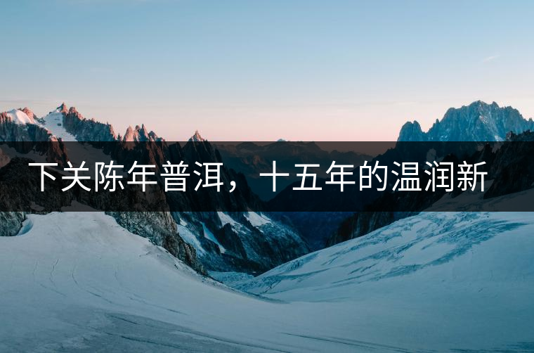 下關(guān)陳年普洱，十五年的溫潤新生