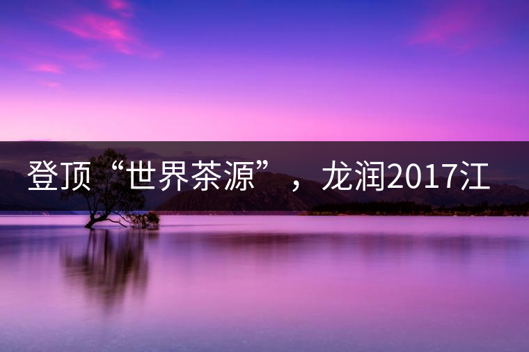 登頂“世界茶源”，龍潤(rùn)2017江城茶上市啦！