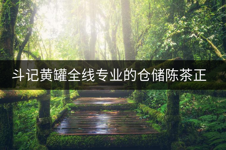 斗記黃罐全線專業(yè)的倉(cāng)儲(chǔ)陳茶正式上市 斗記黃罐全線專業(yè)的倉(cāng)儲(chǔ)陳茶正式上市