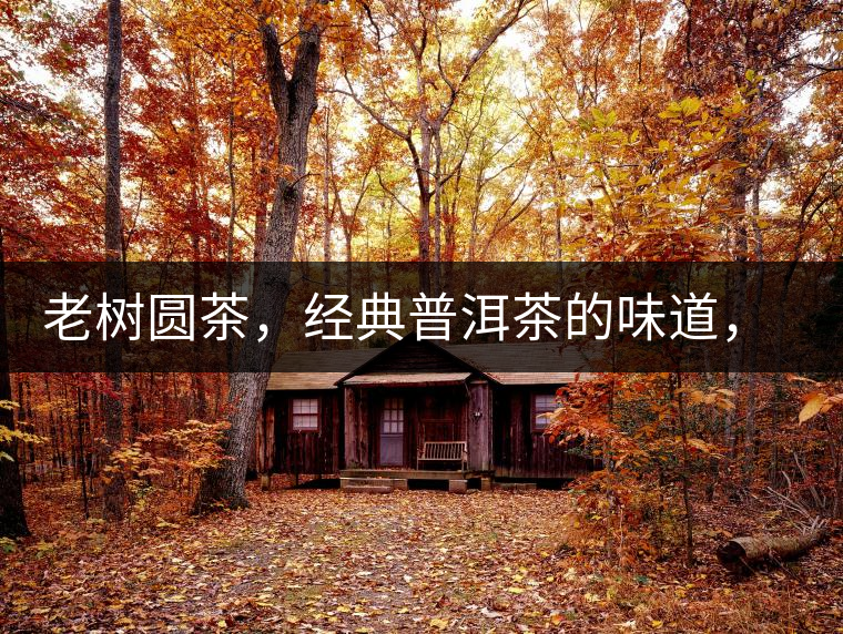 老樹圓茶，經(jīng)典普洱茶的味道，即將上市