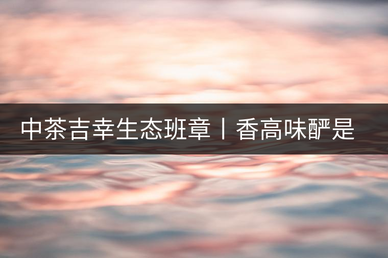 中茶吉幸生態(tài)班章丨香高味釅是王者，且品且珍惜