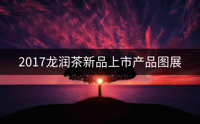 2017龍潤茶新品上市產(chǎn)品圖展 2017龍潤茶新品上市產(chǎn)品圖展