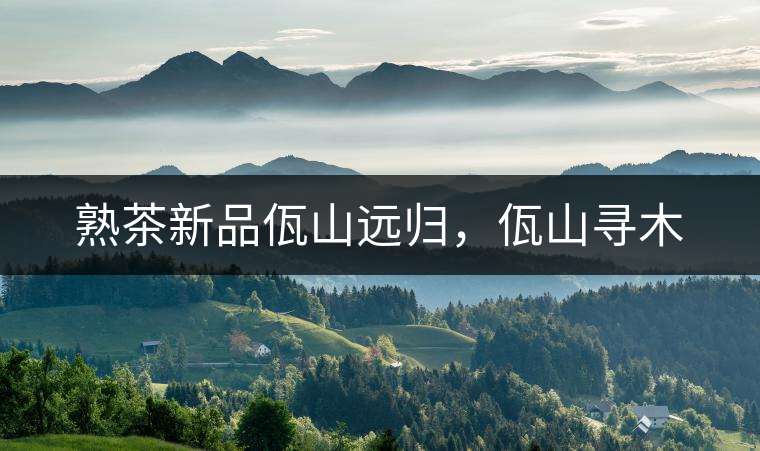 熟茶新品佤山遠(yuǎn)歸，佤山尋木
