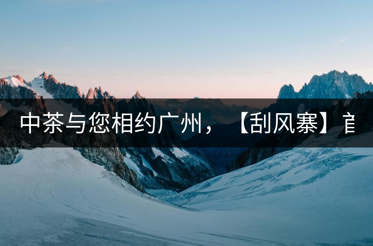 中茶與您相約廣州，【刮風(fēng)寨】首次亮相！