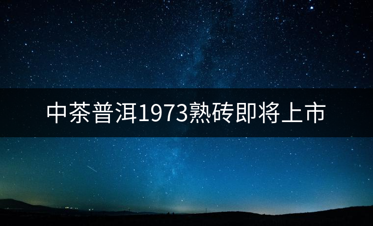 中茶普洱1973熟磚即將上市