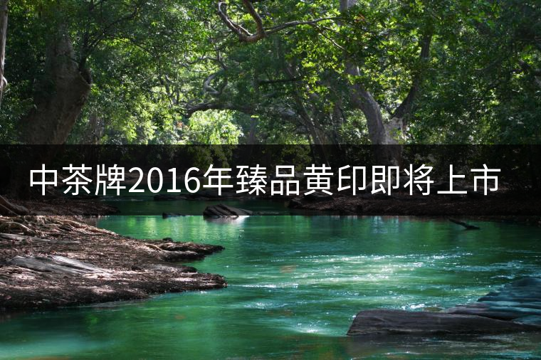 中茶牌2016年臻品黃印即將上市！