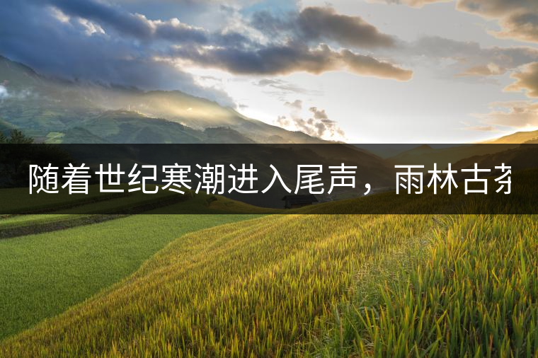 隨著世紀(jì)寒潮進(jìn)入尾聲，雨林古茶坊