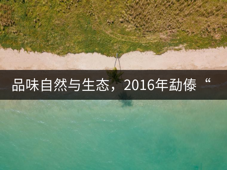 品味自然與生態(tài)，2016年勐傣“大雪山古樹茶”