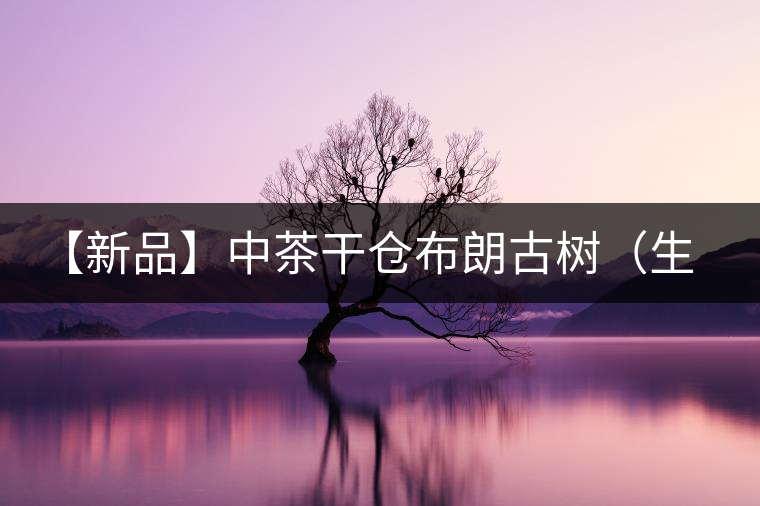 【新品】中茶干倉(cāng)布朗古樹（生茶）—（電商專供） 上市