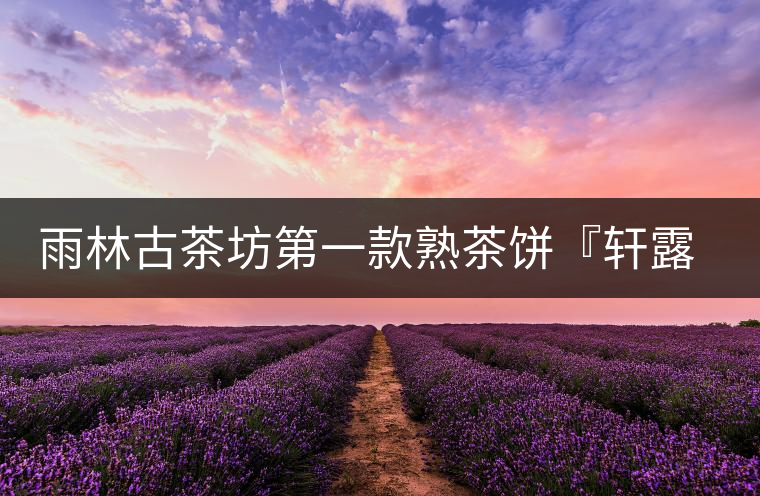 雨林古茶坊第一款熟茶餅『軒露』上市