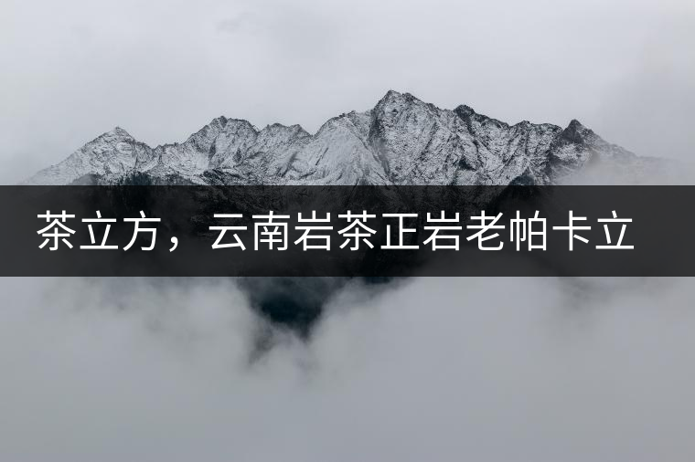 茶立方，云南巖茶正巖老帕卡立方磚今日芳香出爐