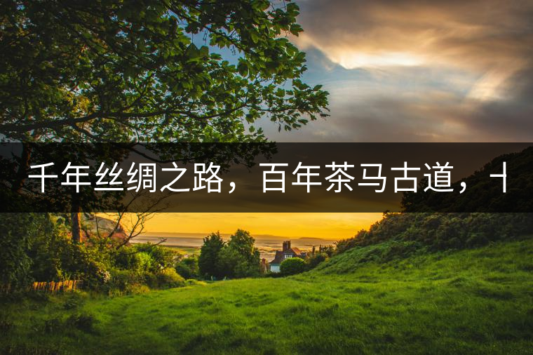 千年絲綢之路，百年茶馬古道，十年尋茶之旅，鑄造Puertea（十年紀念茶）