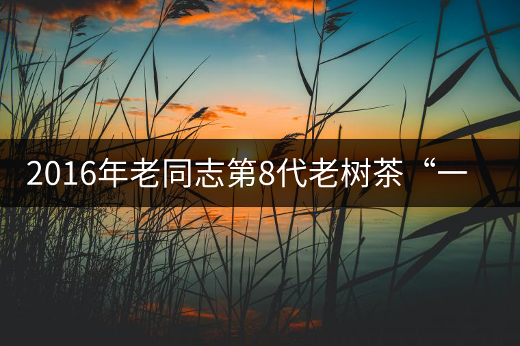 2016年老同志第8代老樹茶“一號(hào)熟”即將上市 2016年老同志第8代老樹茶“一號(hào)熟”即將上市