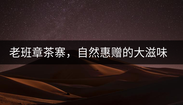 老班章茶寨，自然惠贈的大滋味，大滿足