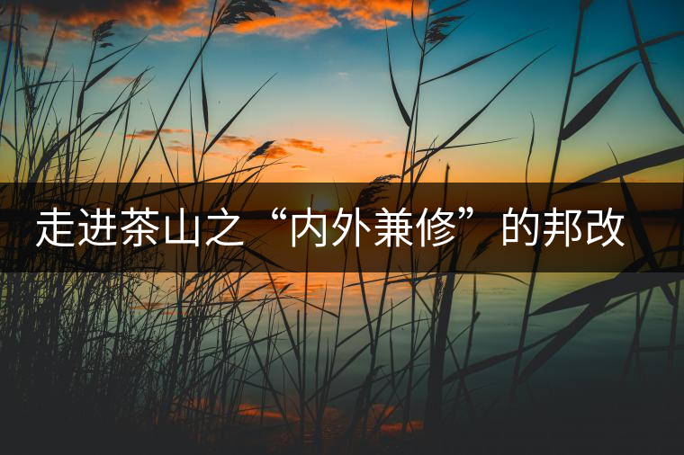 走進茶山之“內(nèi)外兼修”的邦改村 走進茶山之“內(nèi)外兼修”的邦改村