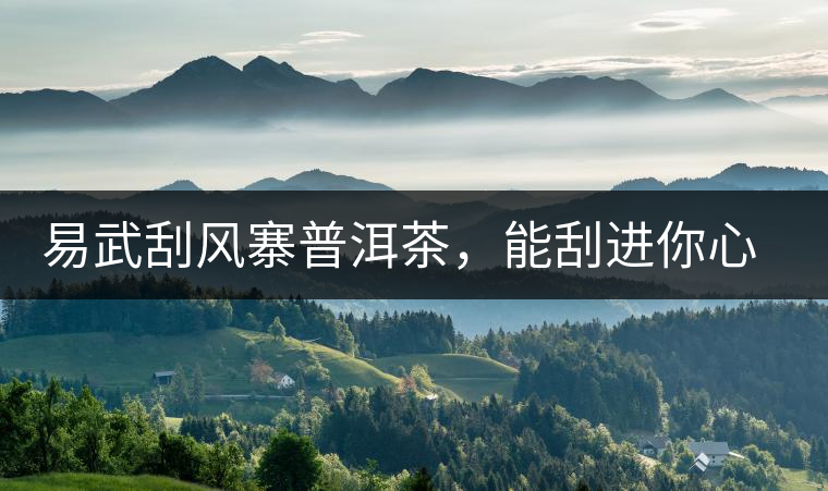 易武刮風(fēng)寨普洱茶，能刮進(jìn)你心中的一道風(fēng)