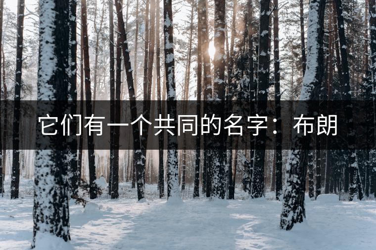 它們有一個共同的名字:布朗 它們有一個共同的名字:布朗