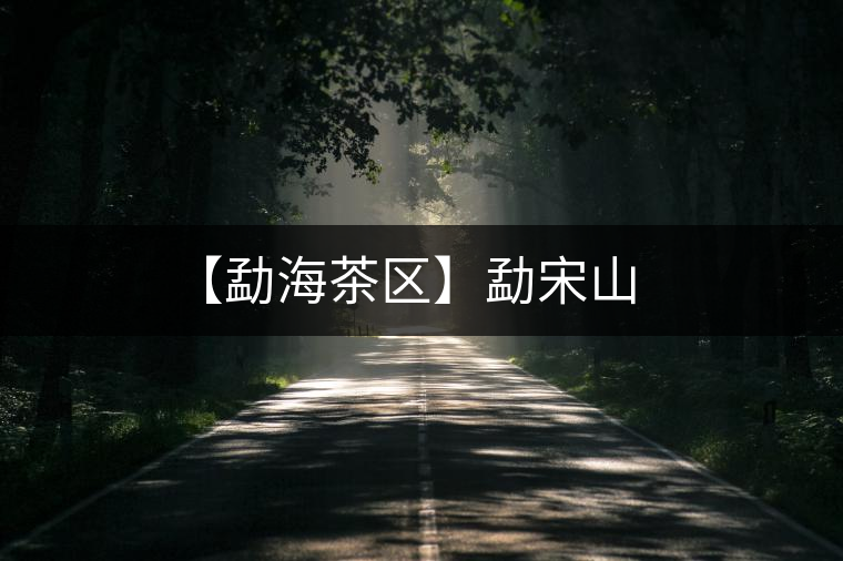 【勐海茶區(qū)】勐宋山