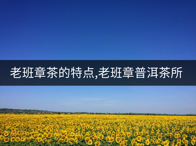 老班章茶的特點(diǎn),老班章普洱茶所具有的7大特點(diǎn)