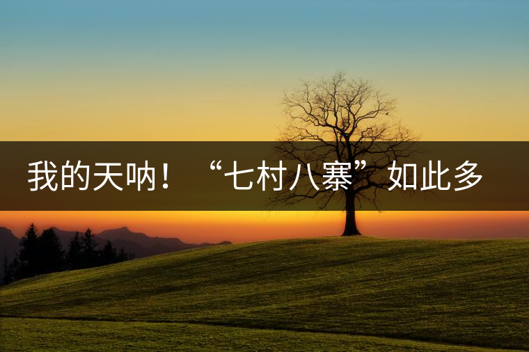 我的天吶！“七村八寨”如此多的易武茶，品質(zhì)特色如何分辨？