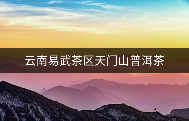 云南易武茶區(qū)天門山普洱茶