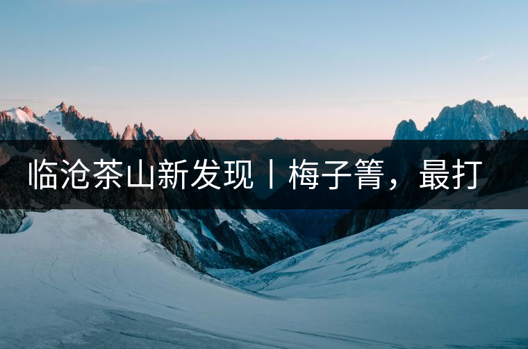 臨滄茶山新發(fā)現(xiàn)丨梅子箐，最打動(dòng)自己的茶山