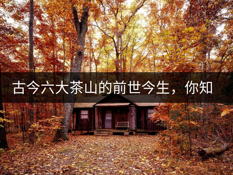 古今六大茶山的前世今生，你知多少？