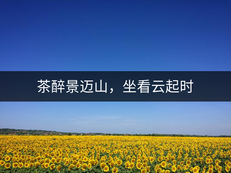 茶醉景邁山，坐看云起時(shí)