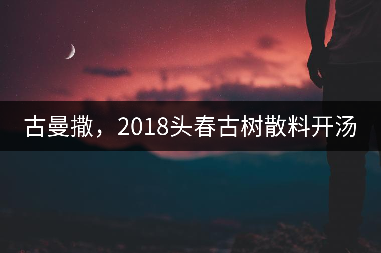 古曼撒，2018頭春古樹散料開湯