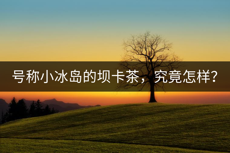 號稱小冰島的壩卡茶，究竟怎樣？