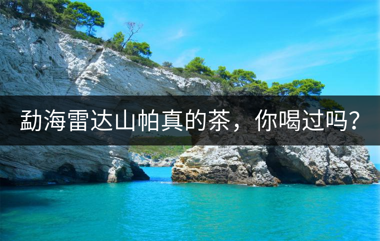 勐海雷達(dá)山帕真的茶，你喝過嗎？