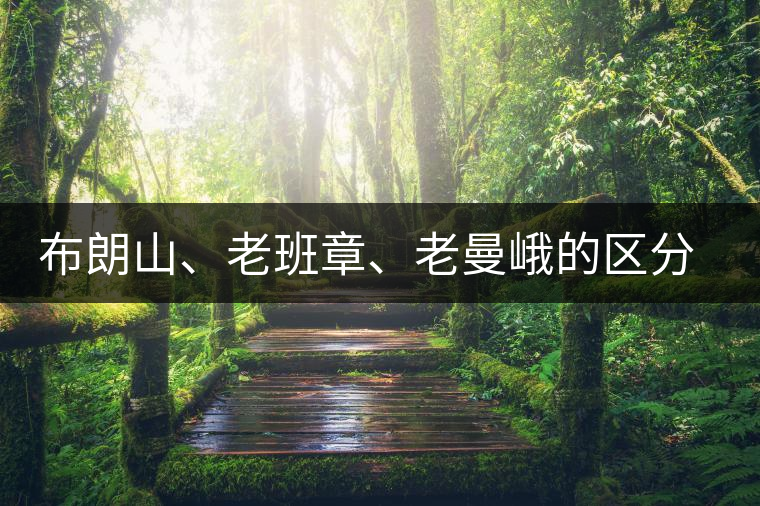 布朗山、老班章、老曼峨的區(qū)分和鑒別