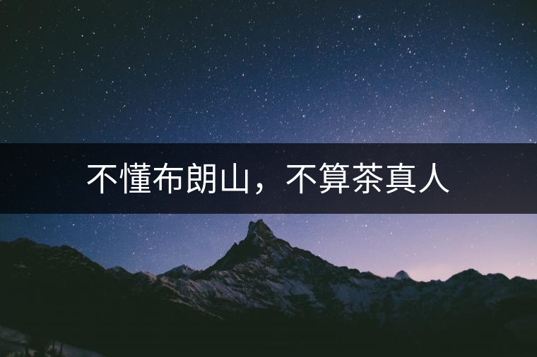 不懂布朗山，不算茶真人