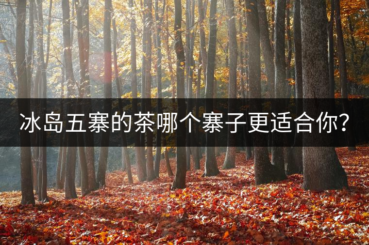 冰島五寨的茶哪個(gè)寨子更適合你？