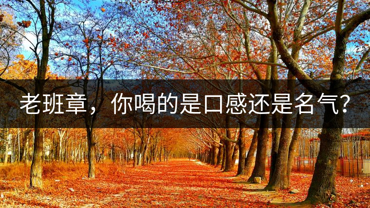 老班章，你喝的是口感還是名氣？