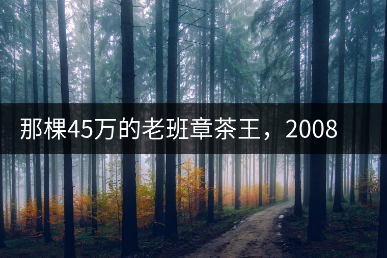 那棵45萬的老班章茶王，2008年是什么樣子的？