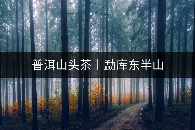 普洱山頭茶丨勐庫(kù)東半山