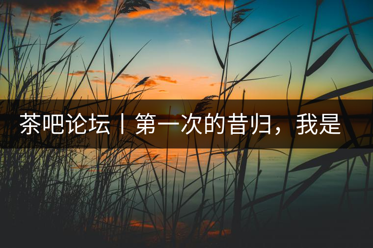 茶吧論壇丨第一次的昔歸，我是這樣喝到的