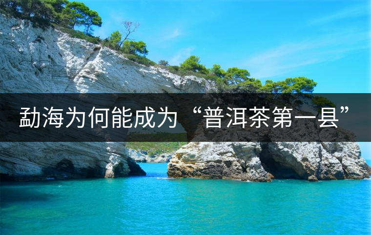 勐海為何能成為“普洱茶第一縣”？