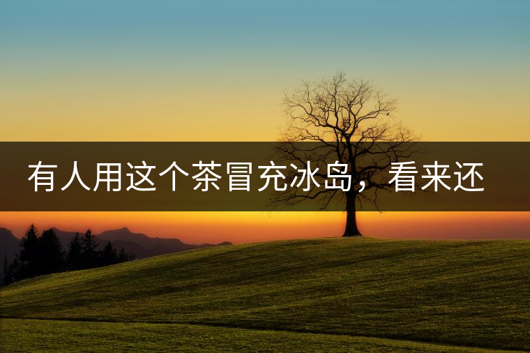 有人用這個茶冒充冰島，看來還是有幾分道理